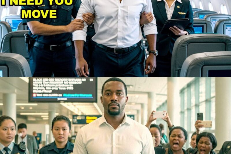 Black CEO Denied First Class Seat – 45 Minutes Later, Airline in Chaos
