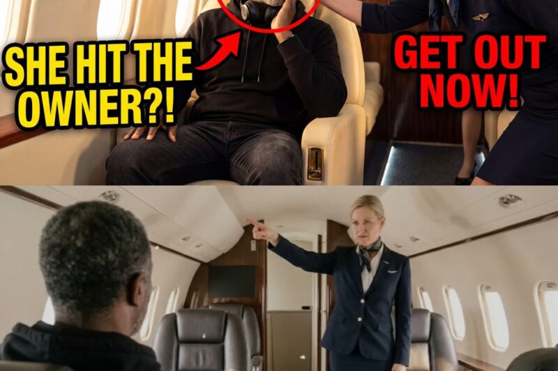 Attendant Slapped Black Billionaire on His Jet — 10 Minutes Later He Destroyed Her Career