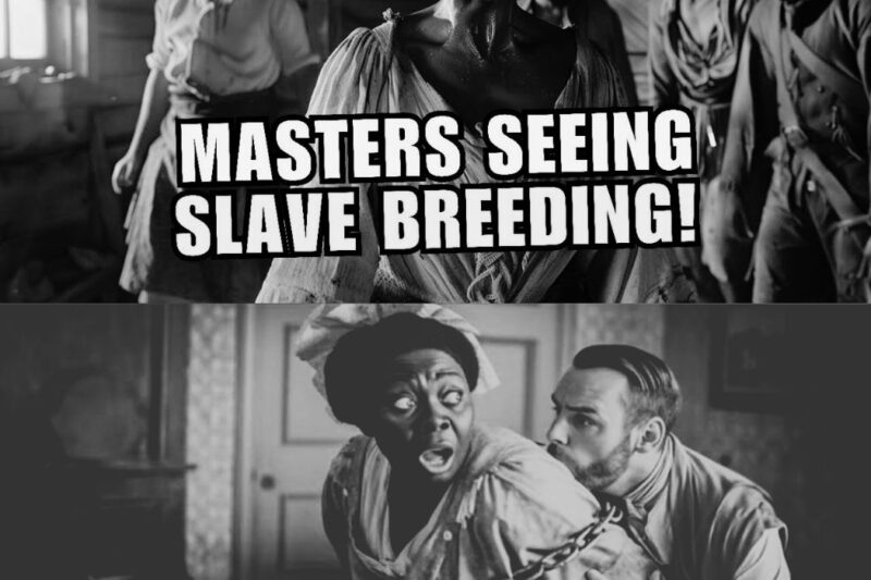 The Gilded Rot of the Antebellum South: The Systematic Horror of State-Sanctioned Human Breeding