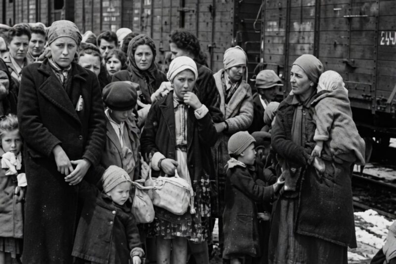 The Final Industrialized Slaughter: The Terrifying Speed of the 1944 Hungarian Holocaust