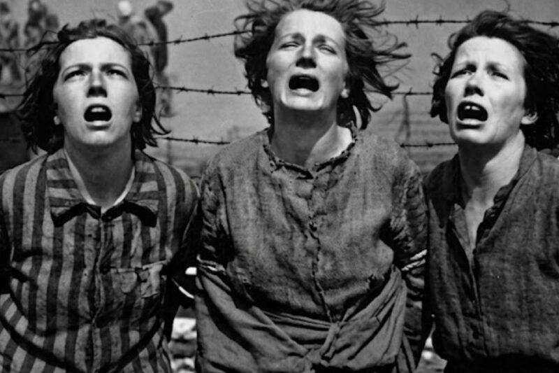 The testimony that the Nazis did not succeed in destroying