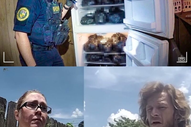 The Trumann House of Horrors: A Routine Welfare Check Unveils a Mother’s Frozen Secret and 24 Gruesome Discoveries